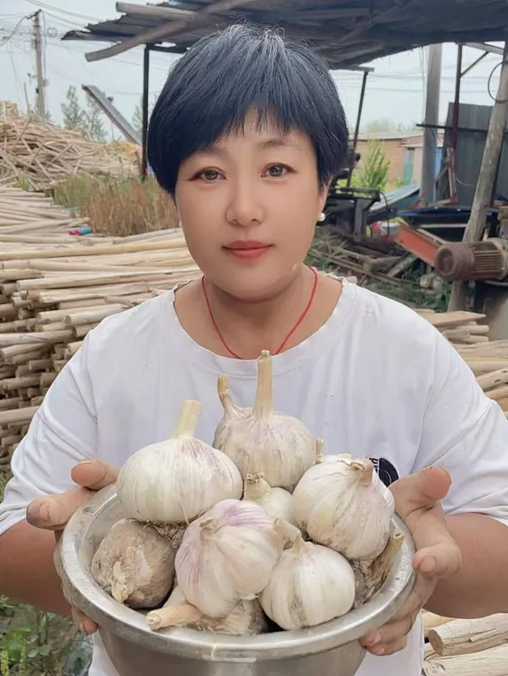 朵儿娘家五斤紫白皮干大蒜可吃可种