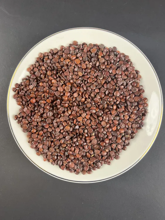 酸枣仁无硫新货酸枣仁搭配百合茯苓泡水酸枣仁净重150克