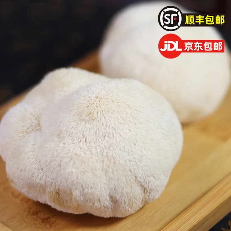 【萌果丁】福建古田新鲜猴头菇2斤（约5-12个）