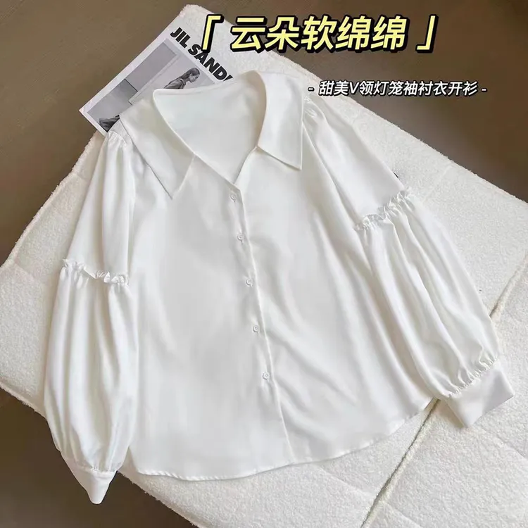 【福利】C001衬衫女秋冬温柔慵懒风高级感内搭上衣