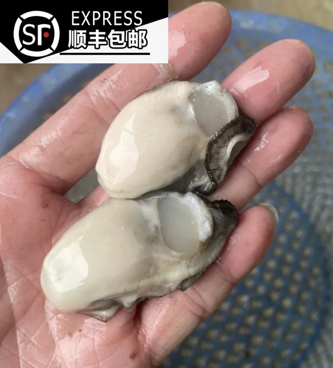 【顺丰冷运】汫洲生蚝去壳现剥海蛎肉牡蛎肉产地直发大中小号