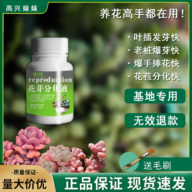 [不爆崽，退全款】多肉绿植鲜花专用花芽分化液基地款