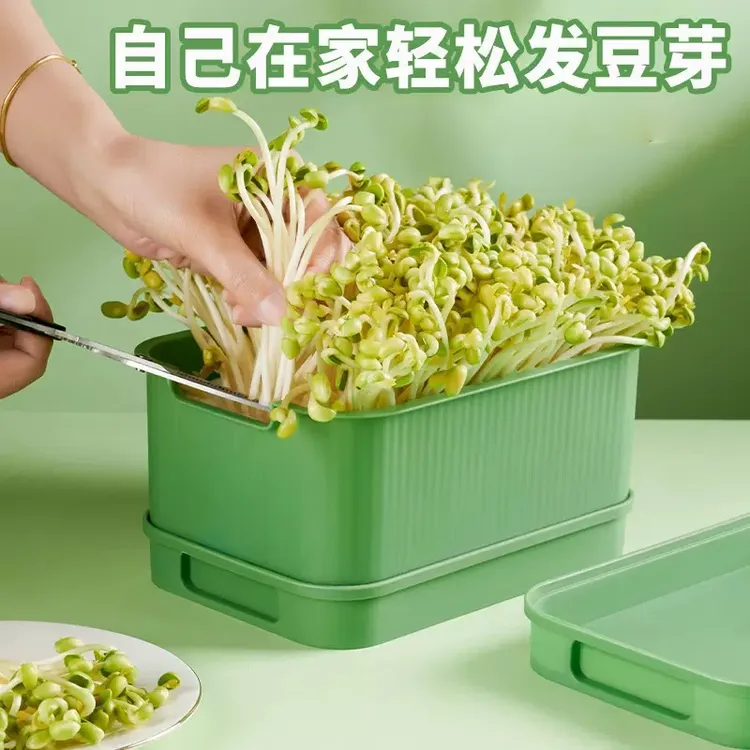 发绿豆芽专用盆豆芽发芽盆种植神器家用水培栽培育苗盘豌豆绿豆盆