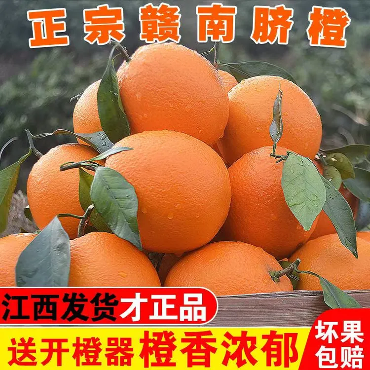【带枝叶】正宗江西赣南脐橙新鲜现摘多汁香甜当季水果产地直发包邮