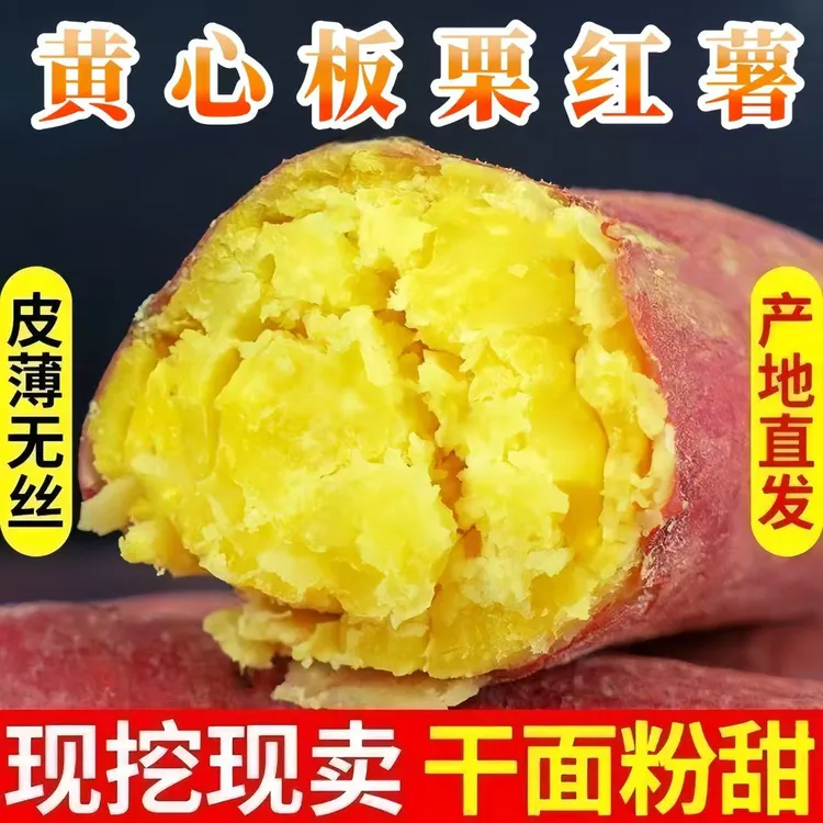 【正宗板栗红薯】新鲜 红皮黄心板栗红薯 很粉 很甜 很香 儿时味道