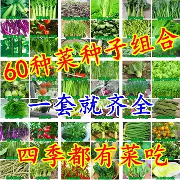 余干农家小蔬菜   露天  家乡的味道  小时候的味道