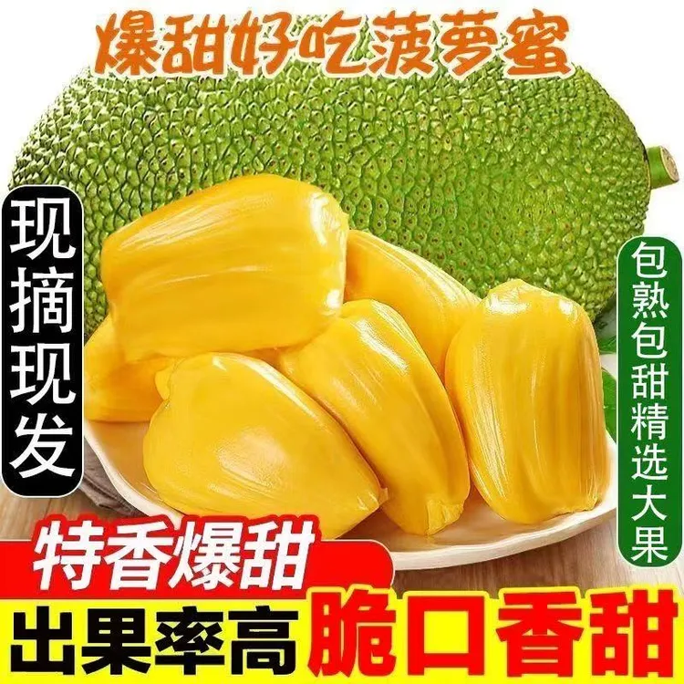 海南黄肉菠萝蜜一整个当季新鲜水果波罗蜜三亚特产木菠萝包邮红