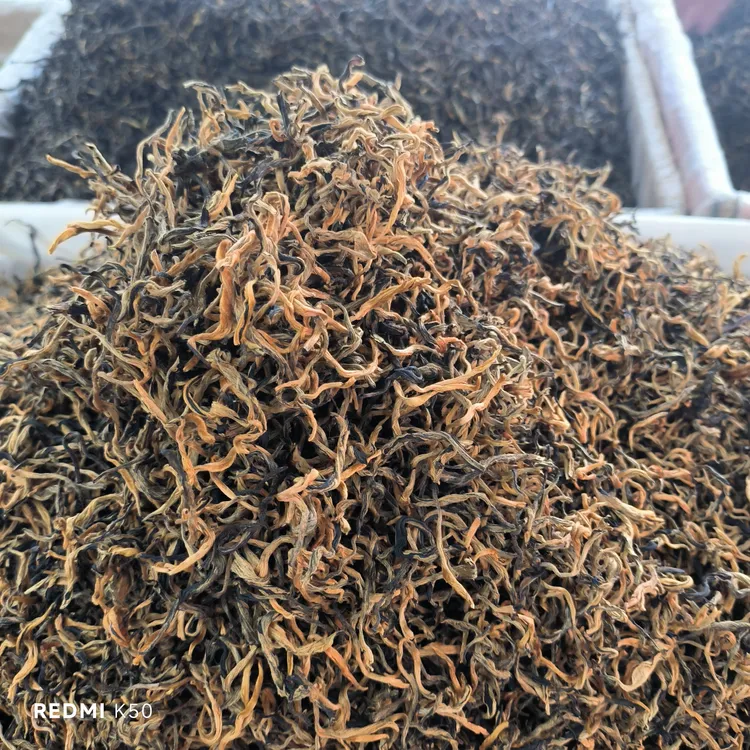 云南凤庆滇红古树红茶蜜香薯香高山茶叶