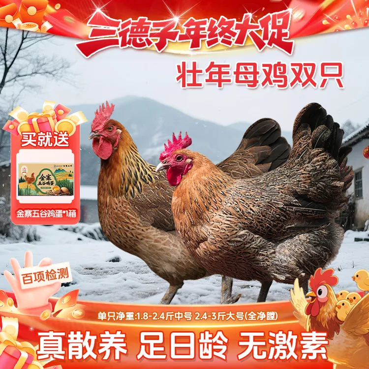 三德子【两只壮年母鸡】高品质生态散养土鸡老母鸡土鸡新鲜美味滋补商品图