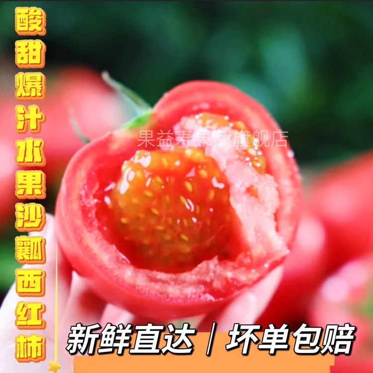 攀枝花高山露水普罗旺斯沙瓤西红柿【带箱5.5斤】现摘现发自然成熟