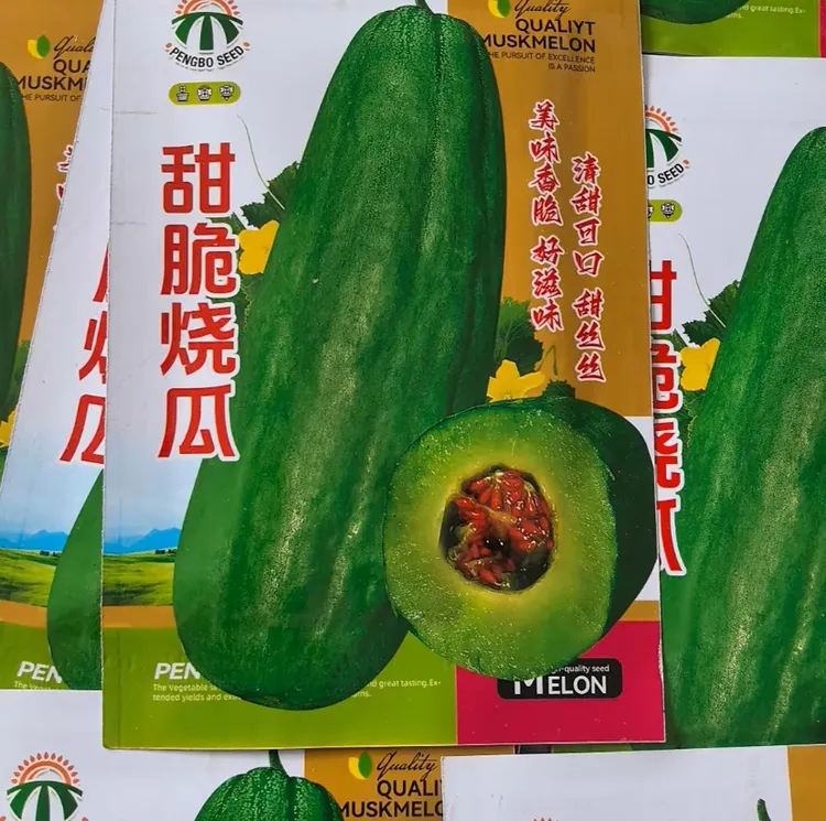 【甜脆烧瓜种子】四季种植盆栽地栽阳台小院种植商品图