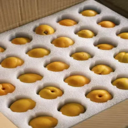 农家产品【彩虹张掖珍珠油杏】果园直发（省外包邮）