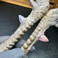 文玩鸡爪骨手把件（一对孔雀微瑕 介意勿拍 处理好十天左右发货）