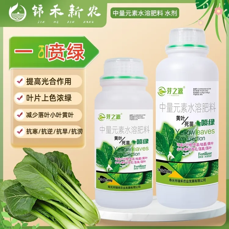 黄叶一喷绿黄叶变绿叶绿素花卉蔬菜果树中量元素通用水溶叶面肥料