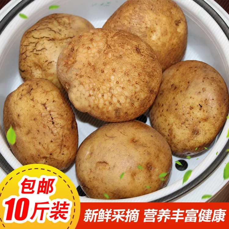 2025云南巧家开花洋芋农家土豆马铃薯开花土豆老品种净果9斤