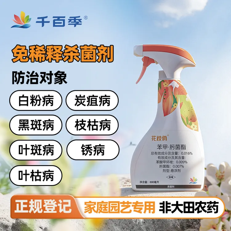 千百季花枝俏免稀释直喷月季白粉病黑斑病枝枯病懒人养花杀菌喷雾商品图