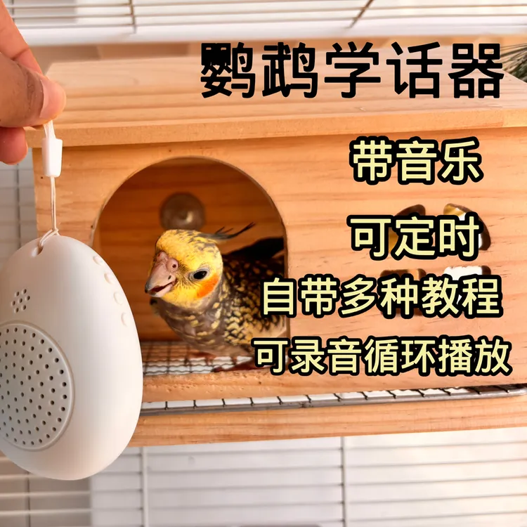 鸟用学习机鹦鹉八哥鹩哥玄凤学话录音复读说话训练教语口哨1