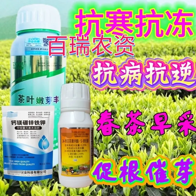 茶叶树防冻剂防冻液防冻霜套装叶面肥催芽素淋利茶吉杀花剂控花药
