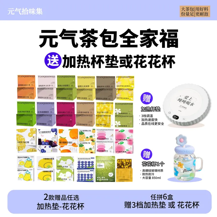 元气茶包全家福/满6盒送杯子或加热杯垫/茶包花果茶冲泡水果茶