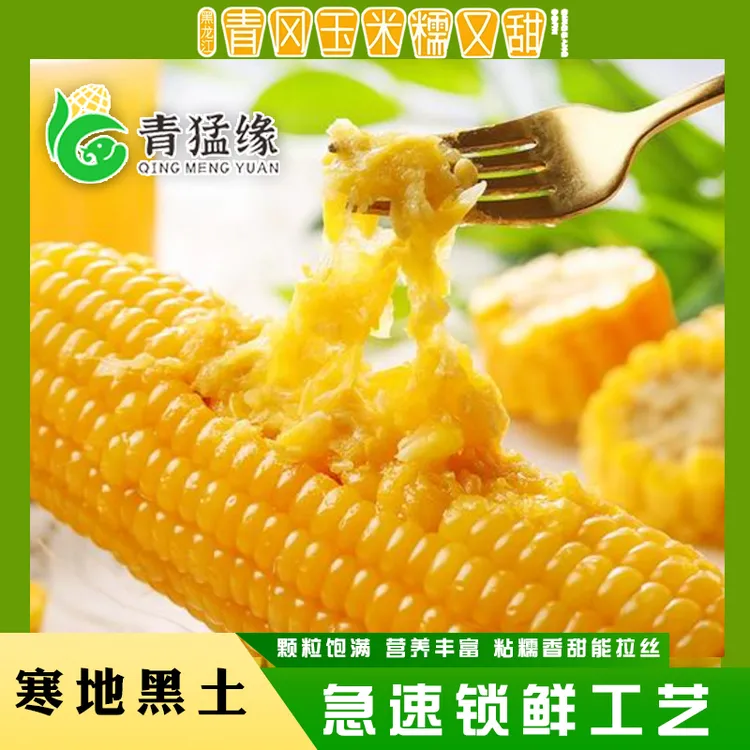 青猛缘～ 25年头茬黄糯玉米  每根240-300克（一箱8根）可试吃一根