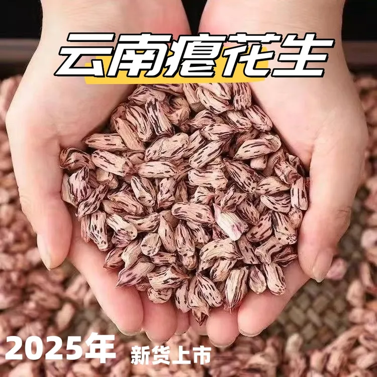 秕花生云南七彩瘪花生2025年新米上市小瘪子花生米甘甜清香养胃