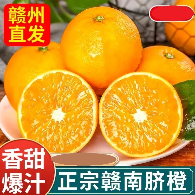 赣南脐橙新鲜水果现摘现发爆甜多汁新鲜采摘核心产区