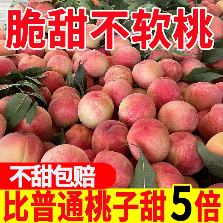 【4斤送半斤】现摘现发新鲜红不软毛桃水蜜桃脆甜多汁应季水果