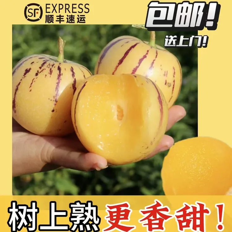 【顺丰发货 果王福利】云南树熟人参果 黄肉树熟鲜嫩多汁坏果包赔