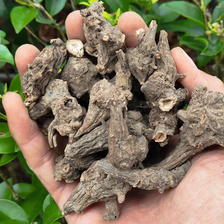 干乌头四川草乌头无硫熏无炮制上乌头江油特产