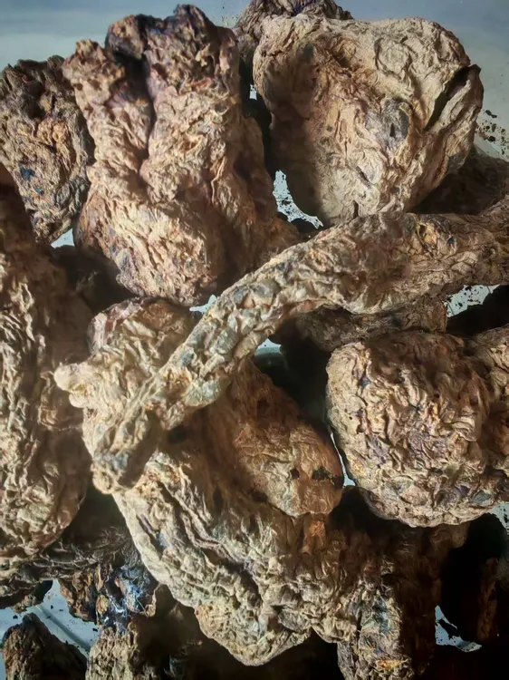 黑玫瑰道地生地黄