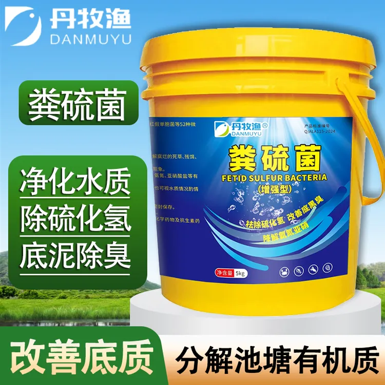 粪硫菌水产养殖净水除臭降硫化氢氨氮亚硝酸盐虾蟹池塘净水