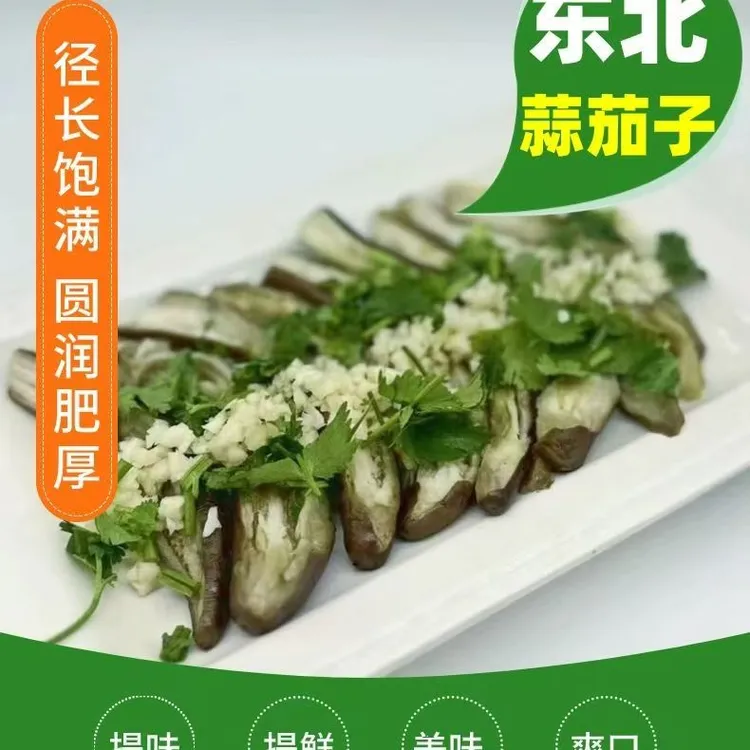 蒜茄子东北特产 咸菜 下饭搭档 传统纯手工儿时记忆
