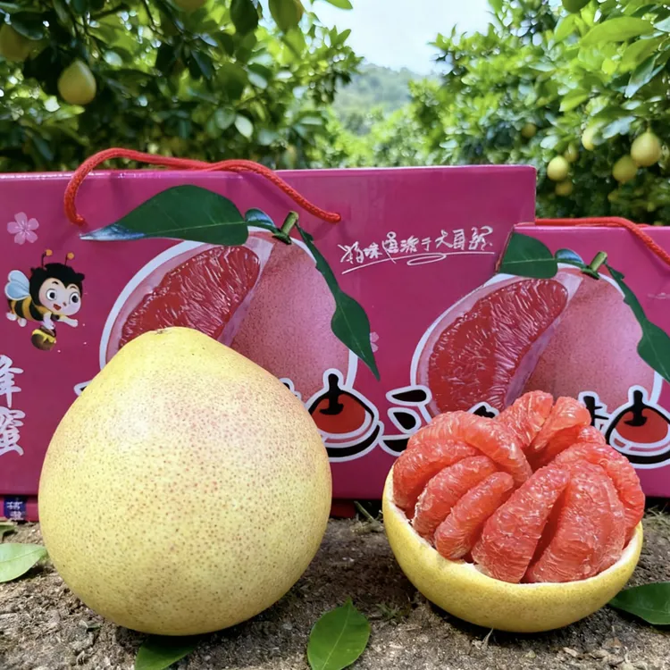 【自提】福建正宗红心蜜柚新鲜水果当季现摘现发皮薄多汁