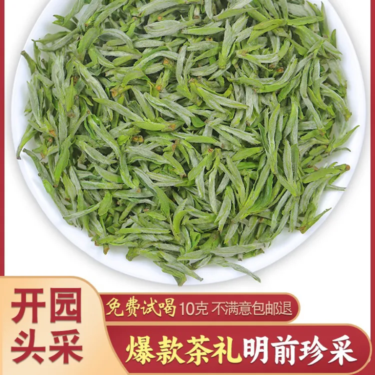 2025精选春茶头芽鲜嫰兰花香老树种毛峰