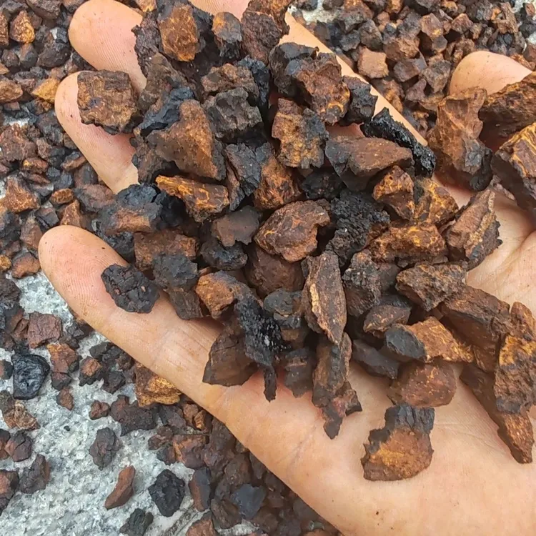 【大山好山货】现收高原高山桦树茸参包邮天然桦树茸切块