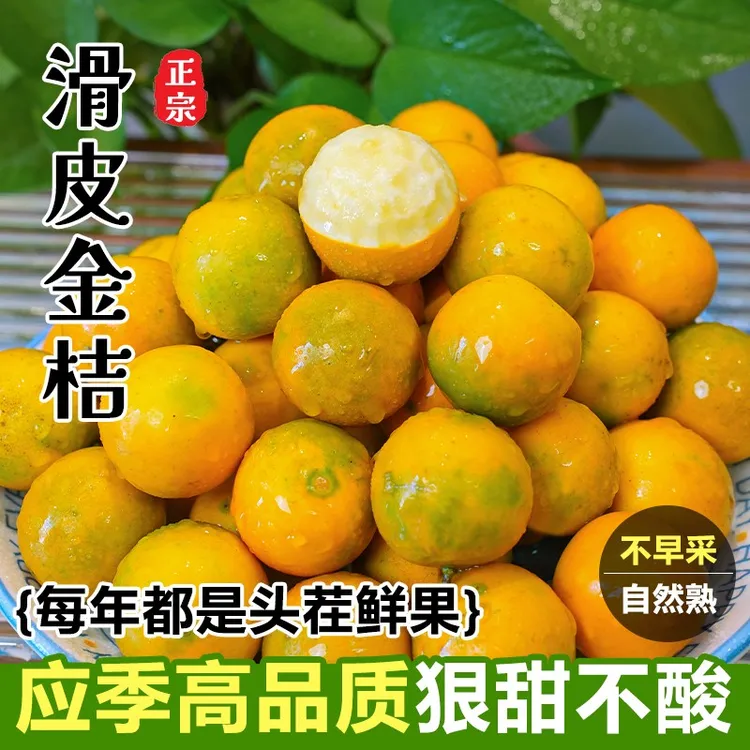 广西纯甜滑皮金桔纯甜无酸桂林糖心小金橘滑皮现摘新鲜水果