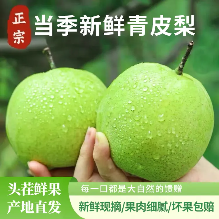 正宗当季青皮梨新鲜应季孕妇水果早酥梨青皮小香梨一整箱批发包邮