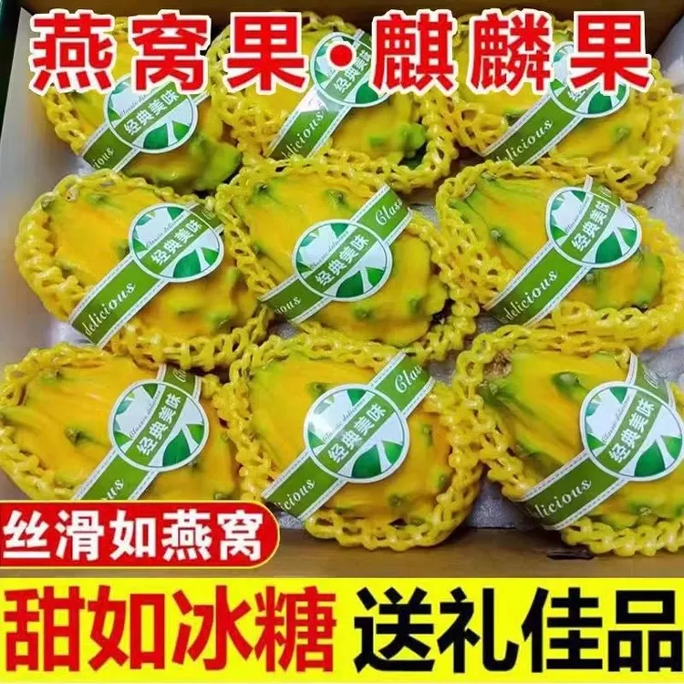正宗海南种植高端贵族燕窝麒麟水果新鲜现摘现发香甜软糯多汁美味