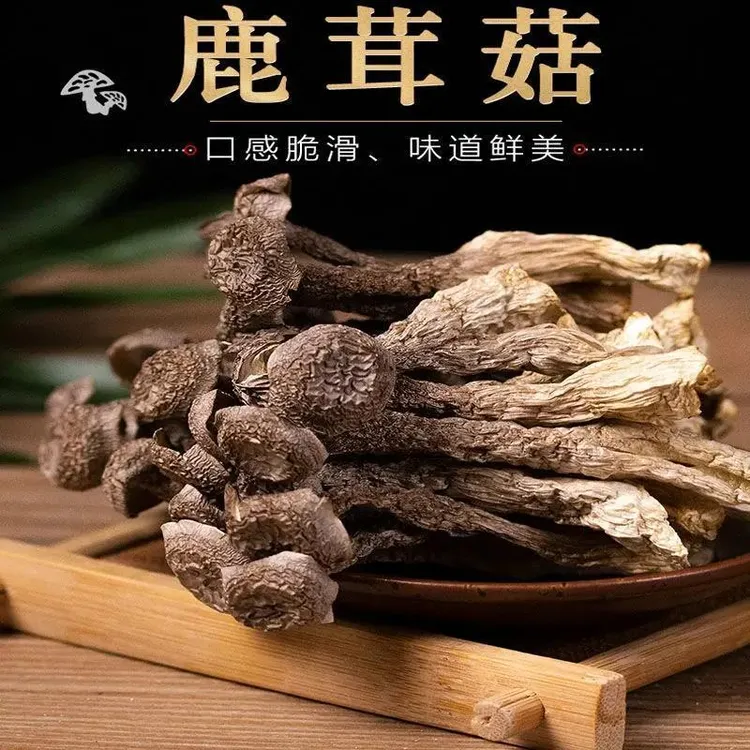 【高山鹿茸菇干货】无硫肥厚炒菜炖煲鸡汤鲜美炒肉营养美味50克/袋