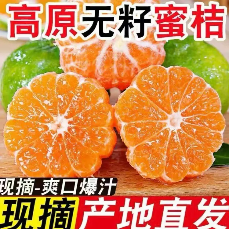现摘湖北高山无籽蜜桔青皮橘子新鲜应季孕妇水果酸甜爆汁