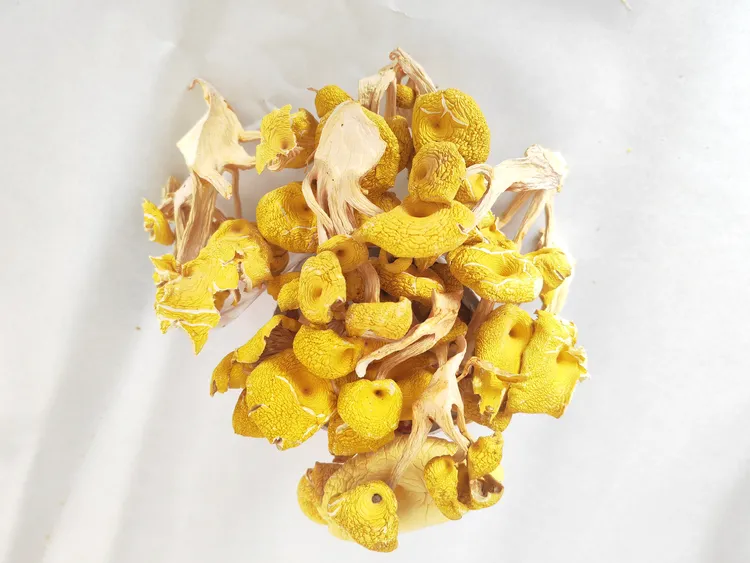 【干货鸡油菌】恩施高山本地鸡油菌250g装