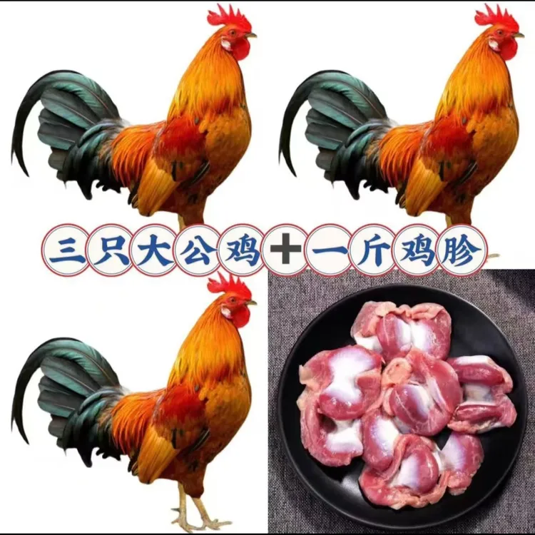 三只散养黑凤大公鸡+一斤鸡胗共十一斤（顺丰冷链）