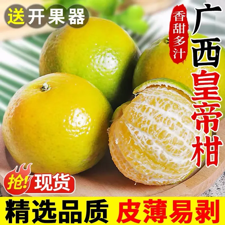 广西皇帝柑新鲜水果贡柑橘子