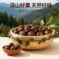 新鲜现摘高山丹东板栗产地直发难剥皮送剥皮器【带箱5斤】