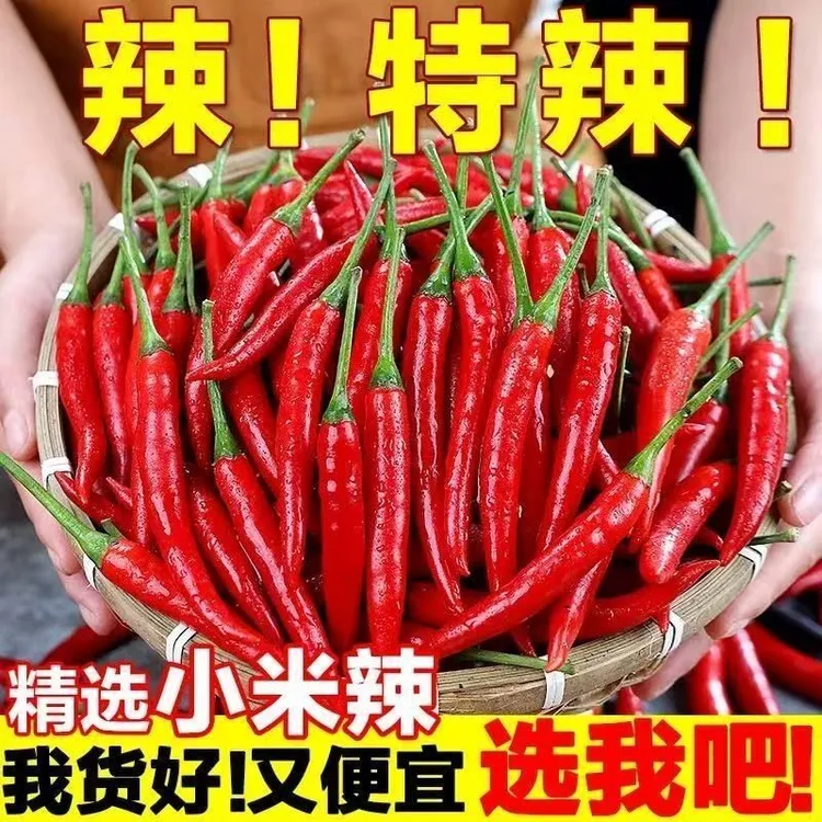 新鲜小米辣椒小米椒蔬菜魔鬼辣椒鲜椒特辣巨辣红辣椒朝天椒