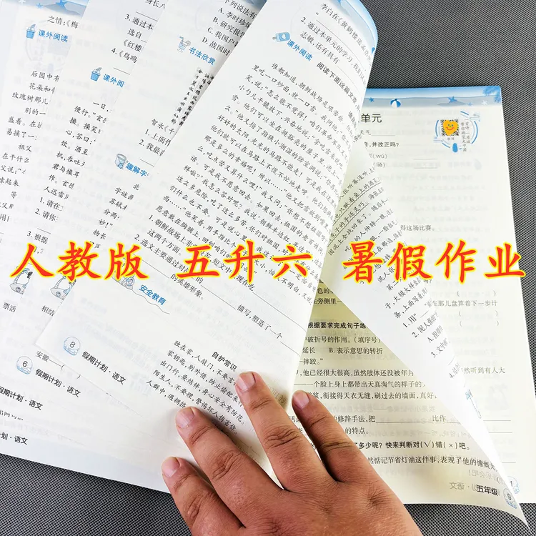 五升六语文暑假作业人教版暑假假期计划五年级下册语文暑假练习册