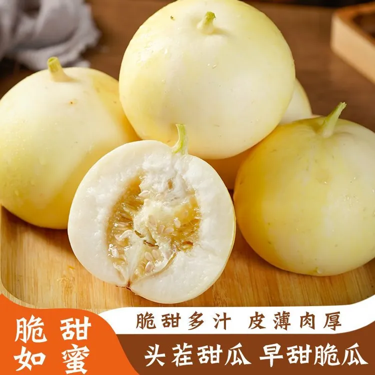 【瓜香四溢】山东产地直发小蜜蜂甜瓜脆甜多汁新鲜采摘甜瓜