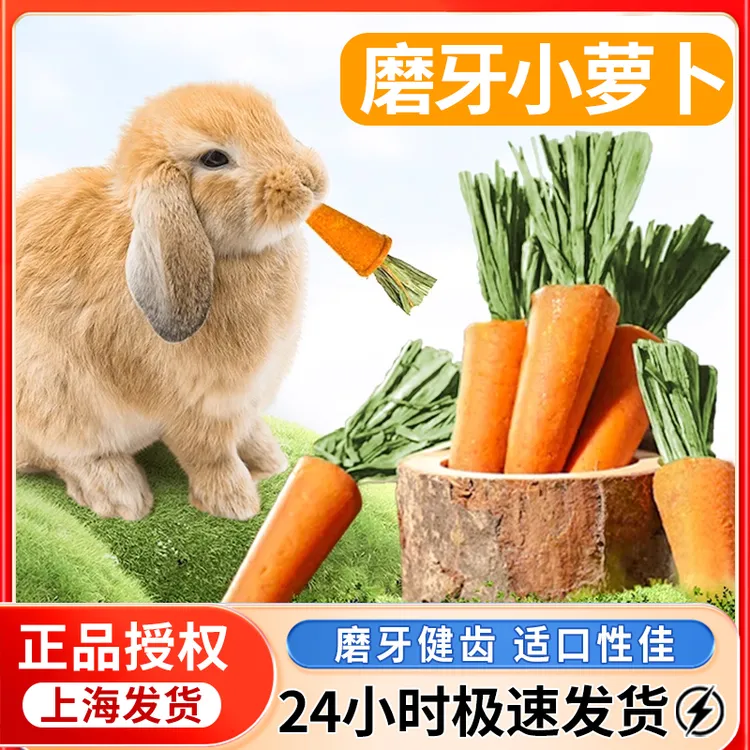 兔子零食赫尔达胡萝卜磨牙棒金丝熊粮食荷兰猪磨牙仓鼠粮食推荐