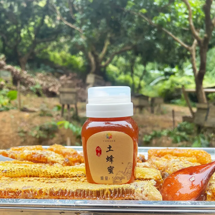 【岭南土蜂蜜】深山农家土蜂蜜天然成熟蜂蜜百花蜜