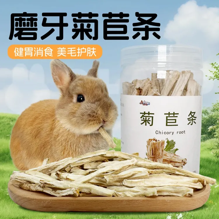 小动物磨牙菊苣条兔子龙猫豚鼠仓鼠菊苣调理肠胃助消化兔子零食